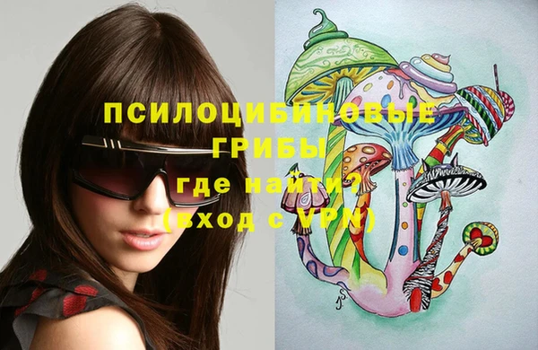 ешки Абаза