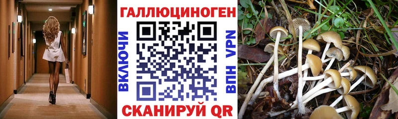 Псилоцибиновые грибы MAGIC MUSHROOMS  Новочеркасск 